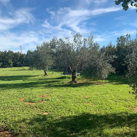 Ole Tu Andalucia Villa Sanlúcar la Mayor